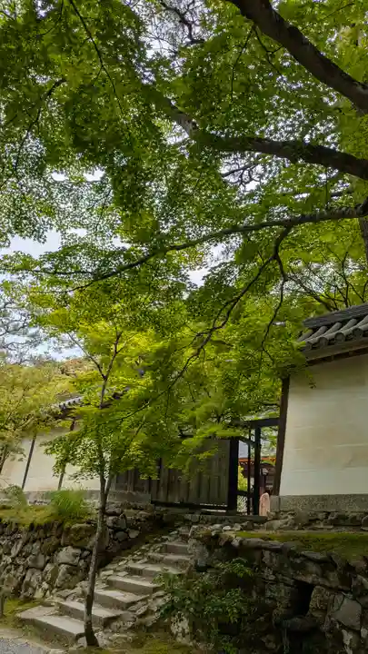 二尊院(京都府)