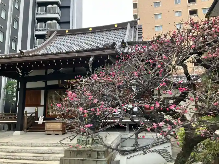 幸福寺の御朱印