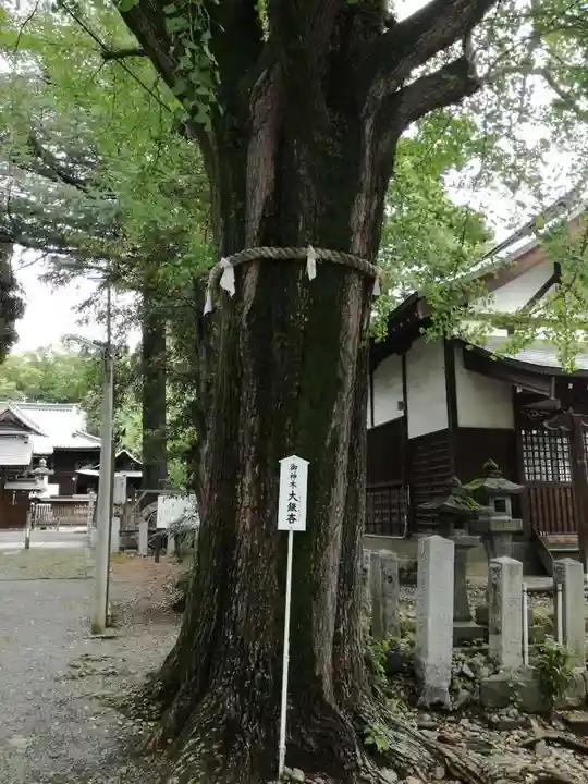 桐生天満宮の自然