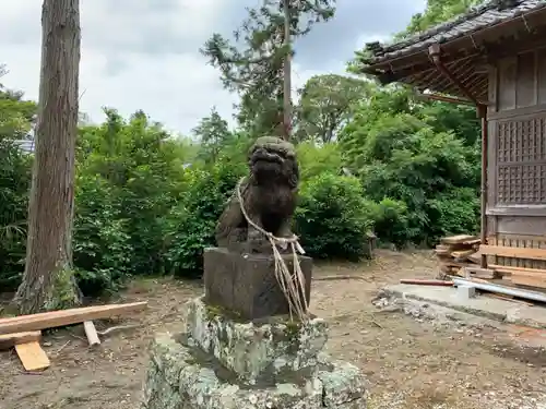 滝口神社の狛犬