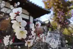 菅原天満宮（菅原神社）の自然