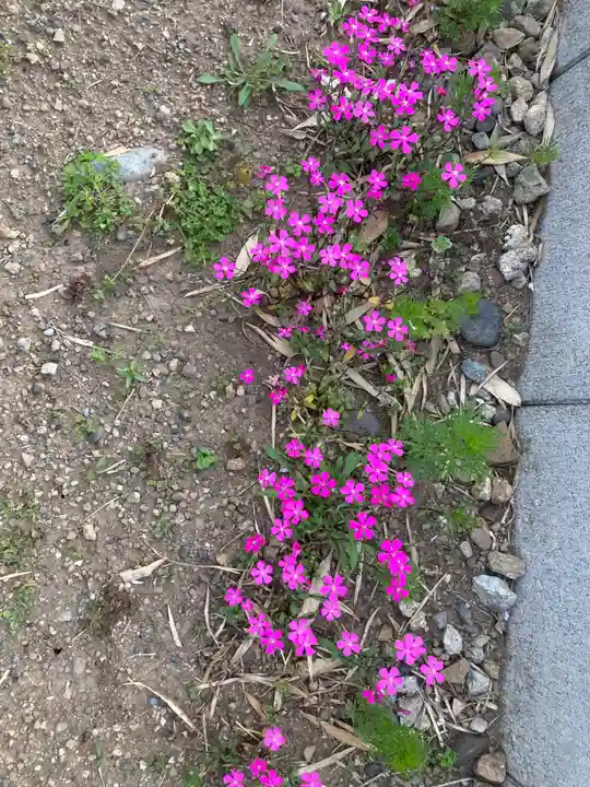 東光寺(観音堂)(神奈川県)