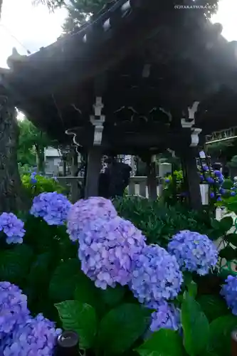 白山神社の庭園