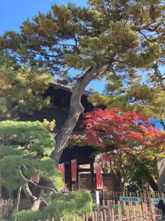 泉岳寺(東京都)