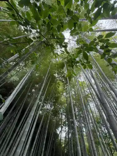 明月院(神奈川県)