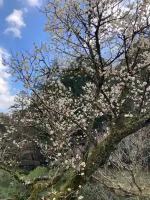 成田山新勝寺(千葉県)