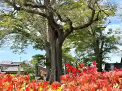 白鳥神社(長野県)