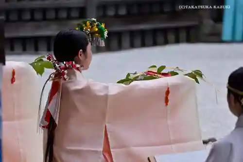 阿佐ヶ谷神明宮の神楽