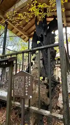 柳津虚空蔵尊 寳性院(宮城県)