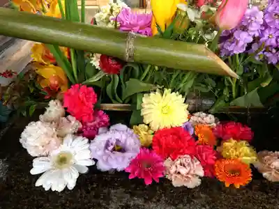 勝林寺(京都府)