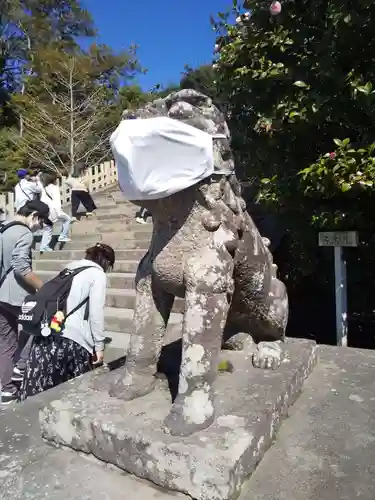 鶴岡八幡宮の狛犬