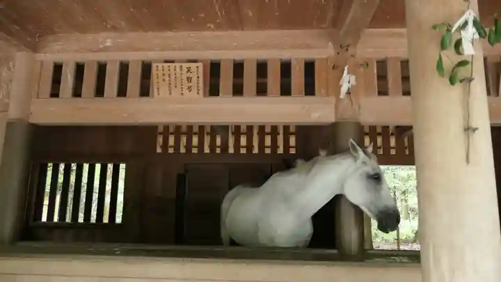 伊勢神宮外宮(豊受大神宮)のその他建物