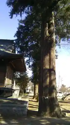 貴布禰神社の自然