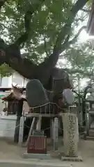 石津神社の自然