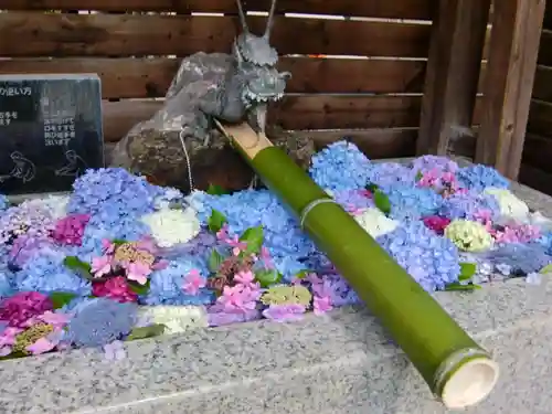 鎮守氷川神社の手水