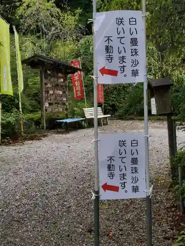 不動寺(埼玉県)