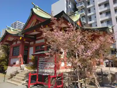 東神奈川熊野神社(神奈川県)