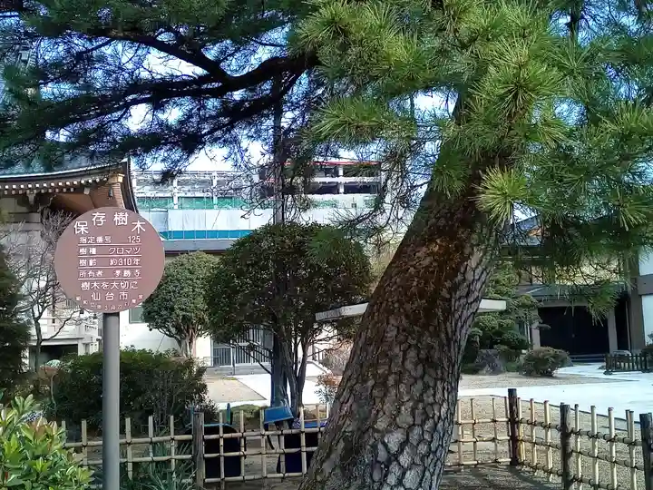 孝勝寺(宮城県)