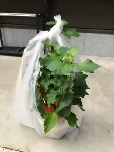 検見川神社のその他建物