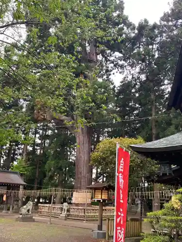 日高神社(岩手県)
