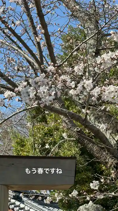殖栗神社の{uncategorized: "未分類", other: "その他", undefined: "問題あり", building: "その他建物", grave: "お墓", sacred_gate: "鳥居", guardian: "狛犬", statue: "像", buddha: "仏像", history: "歴史", nature: "自然", garden: "庭園", animal: "動物", pagoda: "塔", temizu: "手水舎", mountain_gate: "山門・神門", sanctuary: "本殿・本堂", subordinate: "末社・摂社", art: "芸術", scenery: "景色", jizo: "地蔵", ema: "絵馬", goshuin: "御朱印", omikuji: "おみくじ", items: "授与品その他", amulet: "お守り", goshuincho: "御朱印帳", eats: "食事", festival: "お祭り", votive_dance: "神楽", shichigosan: "七五三参", wedding: "結婚式", experience: "体験その他", initially: "初詣", around: "周辺", anti_infection: "感染症対策"}