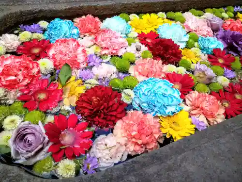 前玉神社(埼玉県)