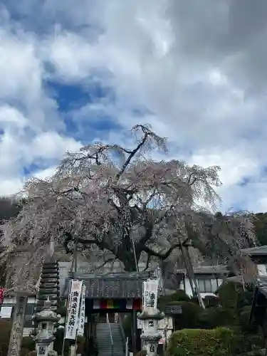 林陽寺の{uncategorized: "未分類", other: "その他", undefined: "問題あり", building: "その他建物", grave: "お墓", sacred_gate: "鳥居", guardian: "狛犬", statue: "像", buddha: "仏像", history: "歴史", nature: "自然", garden: "庭園", animal: "動物", pagoda: "塔", temizu: "手水舎", mountain_gate: "山門・神門", sanctuary: "本殿・本堂", subordinate: "末社・摂社", art: "芸術", scenery: "景色", jizo: "地蔵", ema: "絵馬", goshuin: "御朱印", omikuji: "おみくじ", items: "授与品その他", amulet: "お守り", goshuincho: "御朱印帳", eats: "食事", festival: "お祭り", votive_dance: "神楽", shichigosan: "七五三参", wedding: "結婚式", experience: "体験その他", initially: "初詣", around: "周辺", anti_infection: "感染症対策"}