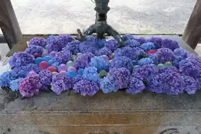 西教寺の手水舎