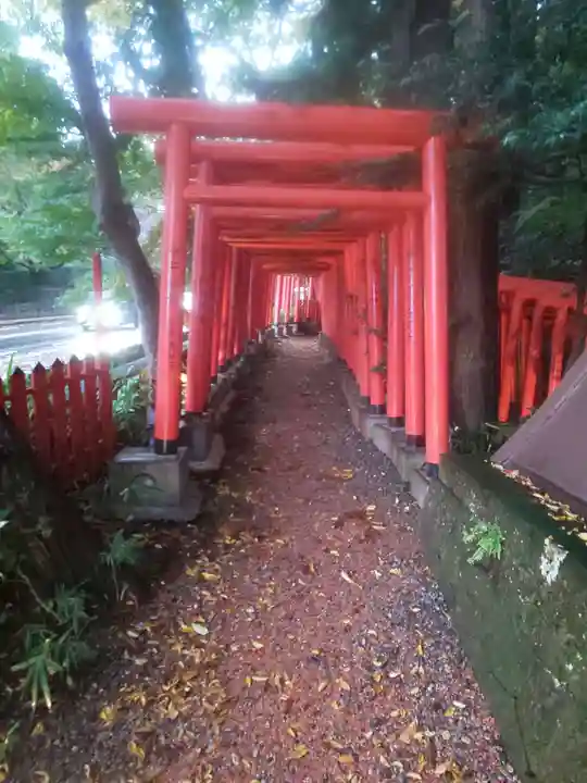 廣坂稲荷神社の鳥居