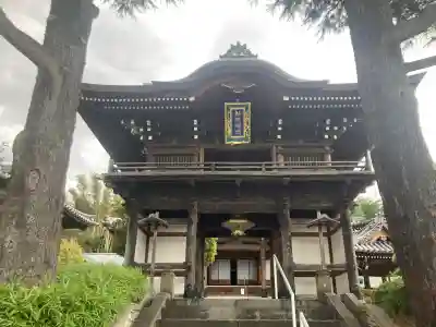 善教寺(神奈川県)