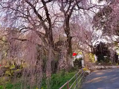 本佛寺別院　法華原(福岡県)