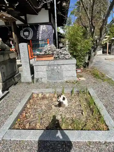 中津瀬神社(山口県)