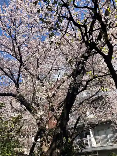 櫻田神社の自然