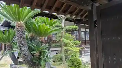 蓮臺寺(京都府)