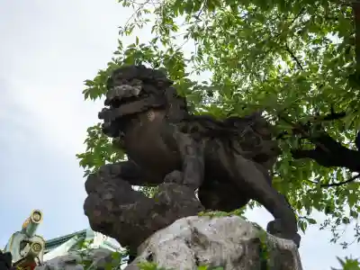 神田神社（神田明神）の狛犬