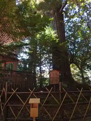 須佐神社の自然