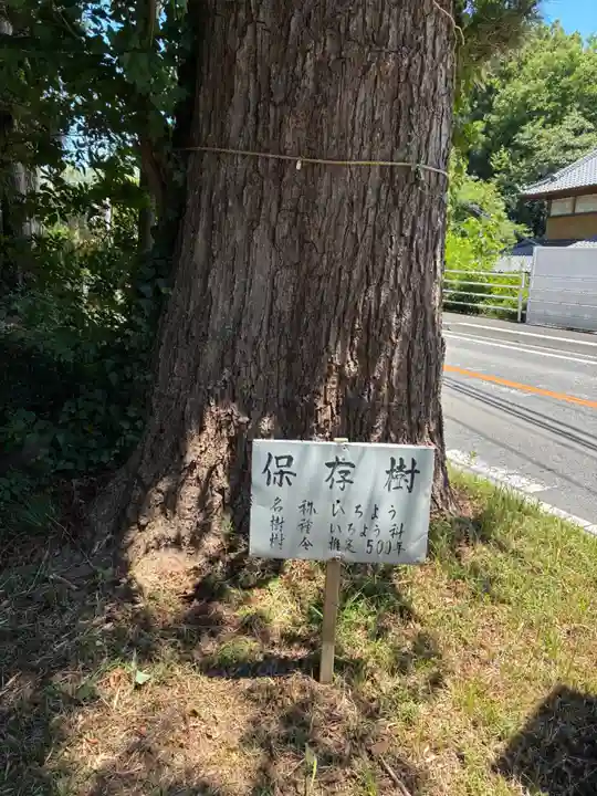 熊野神社(千葉県)