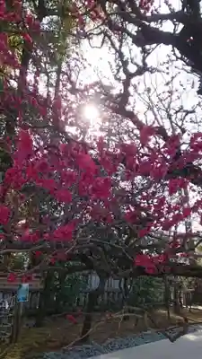 布多天神社(東京都)