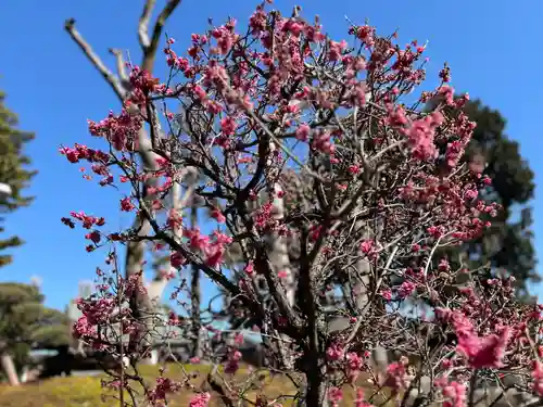 中野沼袋氷川神社(東京都)