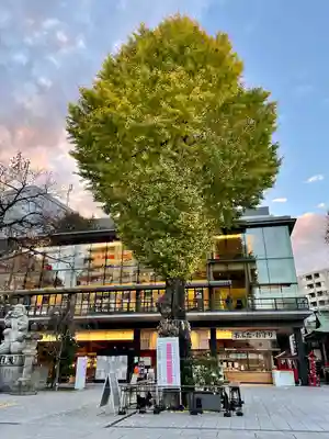 神田神社（神田明神）(東京都)