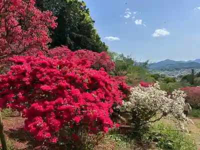 正福寺(茨城県)