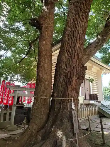 諏訪神社(東京都)