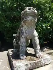 鶴岡八幡宮の狛犬