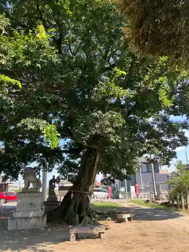 島田八坂神社のその他建物
