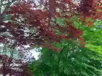 大安寺(岩手県)