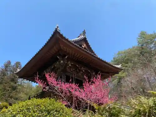 安楽寺の{uncategorized: "未分類", other: "その他", undefined: "問題あり", building: "その他建物", grave: "お墓", sacred_gate: "鳥居", guardian: "狛犬", statue: "像", buddha: "仏像", history: "歴史", nature: "自然", garden: "庭園", animal: "動物", pagoda: "塔", temizu: "手水舎", mountain_gate: "山門・神門", sanctuary: "本殿・本堂", subordinate: "末社・摂社", art: "芸術", scenery: "景色", jizo: "地蔵", ema: "絵馬", goshuin: "御朱印", omikuji: "おみくじ", items: "授与品その他", amulet: "お守り", goshuincho: "御朱印帳", eats: "食事", festival: "お祭り", votive_dance: "神楽", shichigosan: "七五三参", wedding: "結婚式", experience: "体験その他", initially: "初詣", around: "周辺", anti_infection: "感染症対策"}
