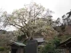 即清寺(東京都)