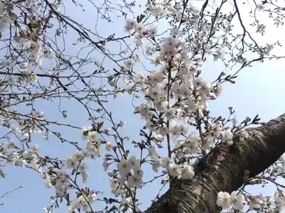 稲田神社（豊川進雄神社御旅所）(愛知県)