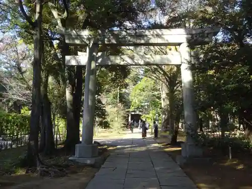 赤坂氷川神社の鳥居