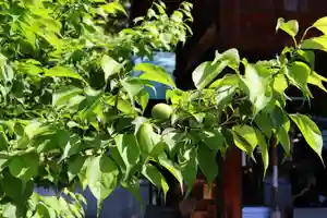 三津厳島神社(愛媛県)(2026年05月08日(金) 10時46分53秒投稿)